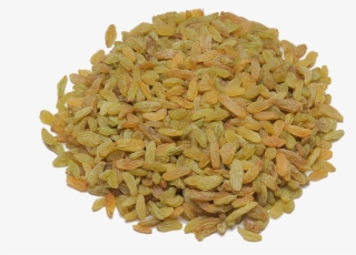 High Nutritional Value - Barley
