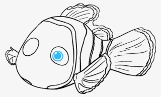 Clipart Easy Long Drawings - Nemo In Black And White