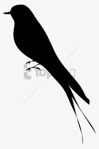 Free Png Bird Silhouette Png Image With Transparent - Sitting Mockingbird Silhouette