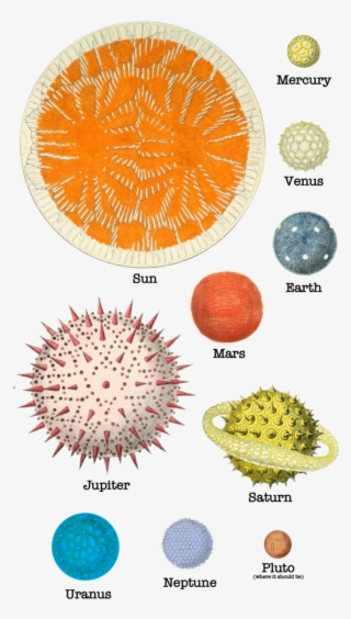 Pollen Planets Solar System - Circle