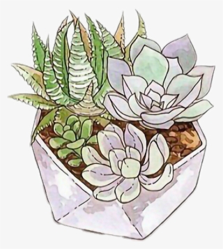 #freetoedit #cactus #succulent #tumblr - Succulent Art