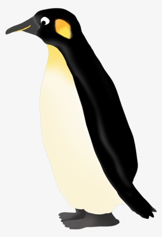 460 X 673 5 - King Penguin
