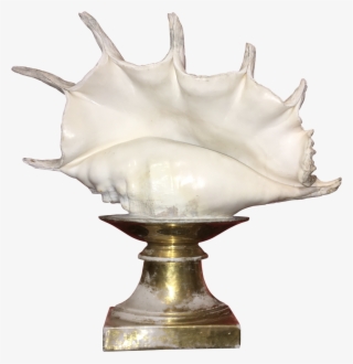 Conch Shell On Old Paris Stand - Lamp
