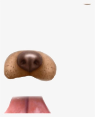 snapchat clipart dog - close-up