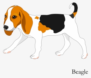 Banner Freeuse Download Vector Cartoon Hand Painted - Dog