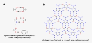 Representative Hydrogen Bond Patterns In Supramolecular - Hydrogen Bonding Supramolecular Chemistry