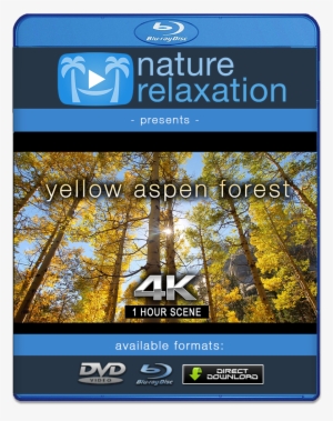 "yellow Aspen Forest" 1 Hr Static Nature Video 4k - Day In The Caribbean 4k