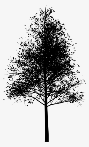 Download Png - Tree