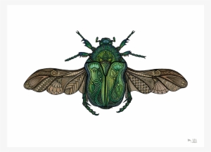 A Scarab Inspired By Ancient Egyptian Art - Art