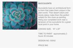 Succulents Popup Paint Studio - White Mexican Rose