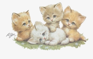 3 Petis Chats Mignons Dedinelle - Good Afternoon With Cat
