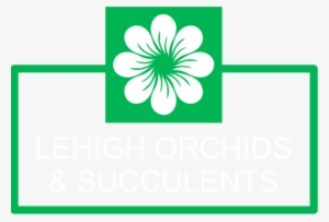 Lehigh Orchids & Succulents - Mon
