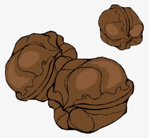 Small - Walnuts Clipart