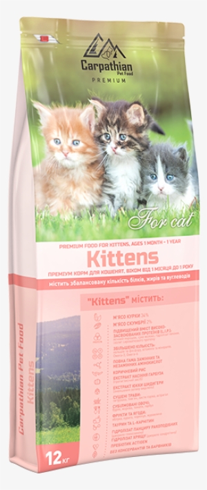 For Kittens Of All Breeds - Artland Rita Kochmarjova: Drei Kleine Kätzchen Sitzend