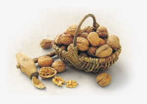 The "organic Haute Culture" For Walnuts