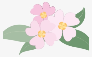 Collection Of Free Transparent Plants Pink Download - Impatiens