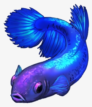 Female Betta Fish By Shivali Lorekeeper-dawytli - Blue Betta Fish Png