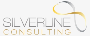Silverline Consulting 45276 Final Copy