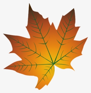 Autumn Leaf Color Cartoon Autumn Leaf Color - Cartoon Fall Leaves Png