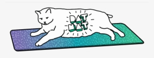 Dat Mat Fat Cat Naming Contest - Cat Yawns