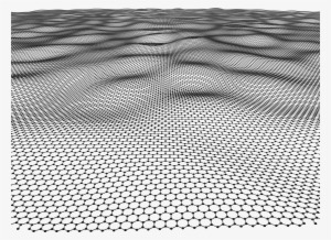 Chicken Wire No Background