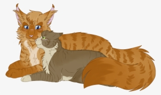 Daily Cats On Tumblr ^^ - Mothwing X Leafpool