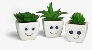 Give $5, Get $5 When You Refer A Friend - Flowerpot