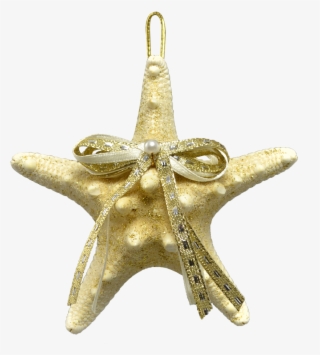 White Knobby Starfish Christmas Holidays Ornament 3-4" - Pendant