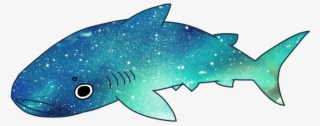 Drawn Whale Space - Whale Shark Gif Transparent