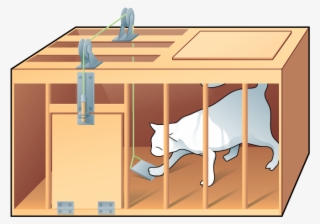Drawing Of A White Cat In A Rectangular Box - Cartoon