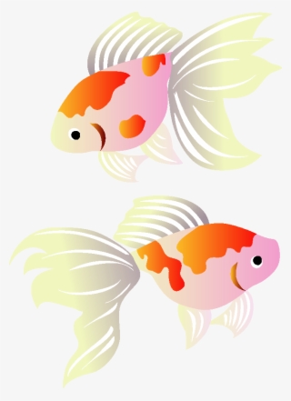 Koi Greeting Illustration Cards Goldfish Post