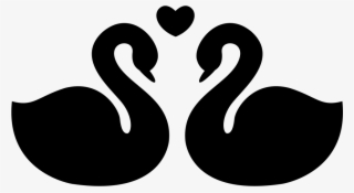 swans couple fidelity symbol of love comments - desenho de pato preto e branco